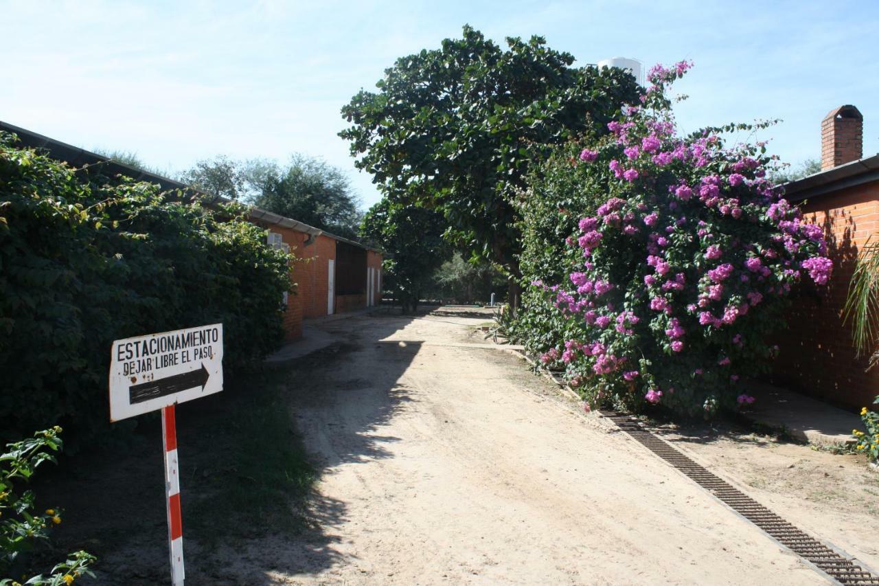 Hotel Golondrina Filadelfia Exterior photo